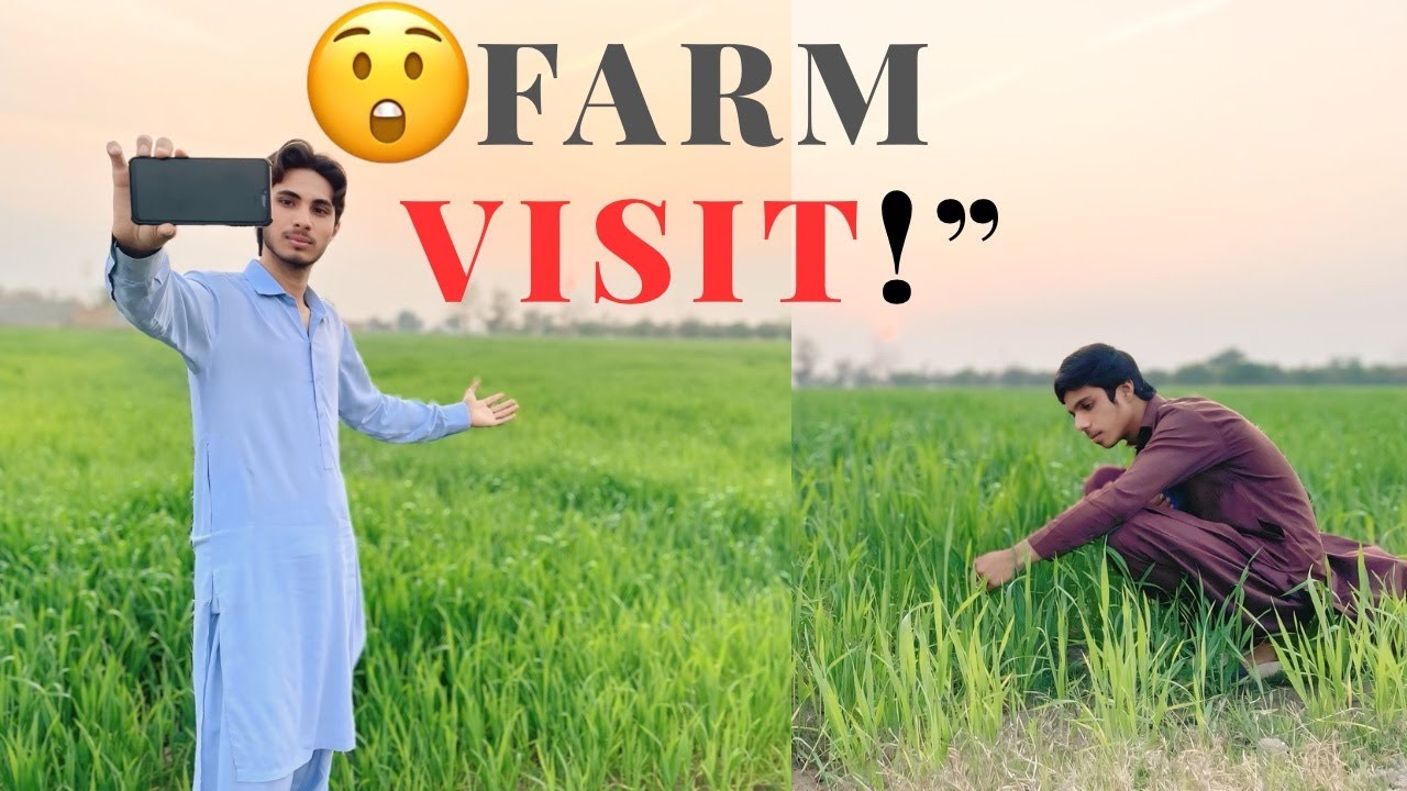 “Mein apni farm reveal kar raha hoon: wheat crop ki full detail!”
