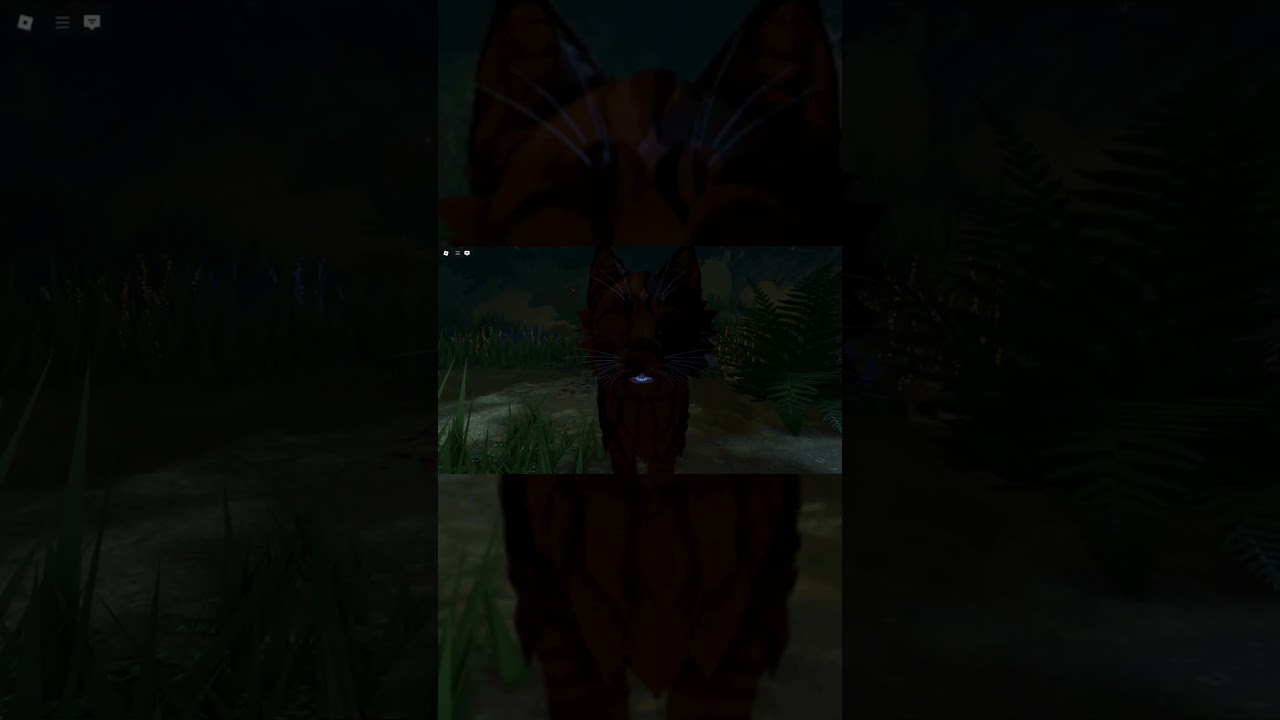 She won't fall for it anymore Vevina. WOAH NEW EPIC QUALITY!?!?!?!  #warriorcats #wcue #roblox  #cat