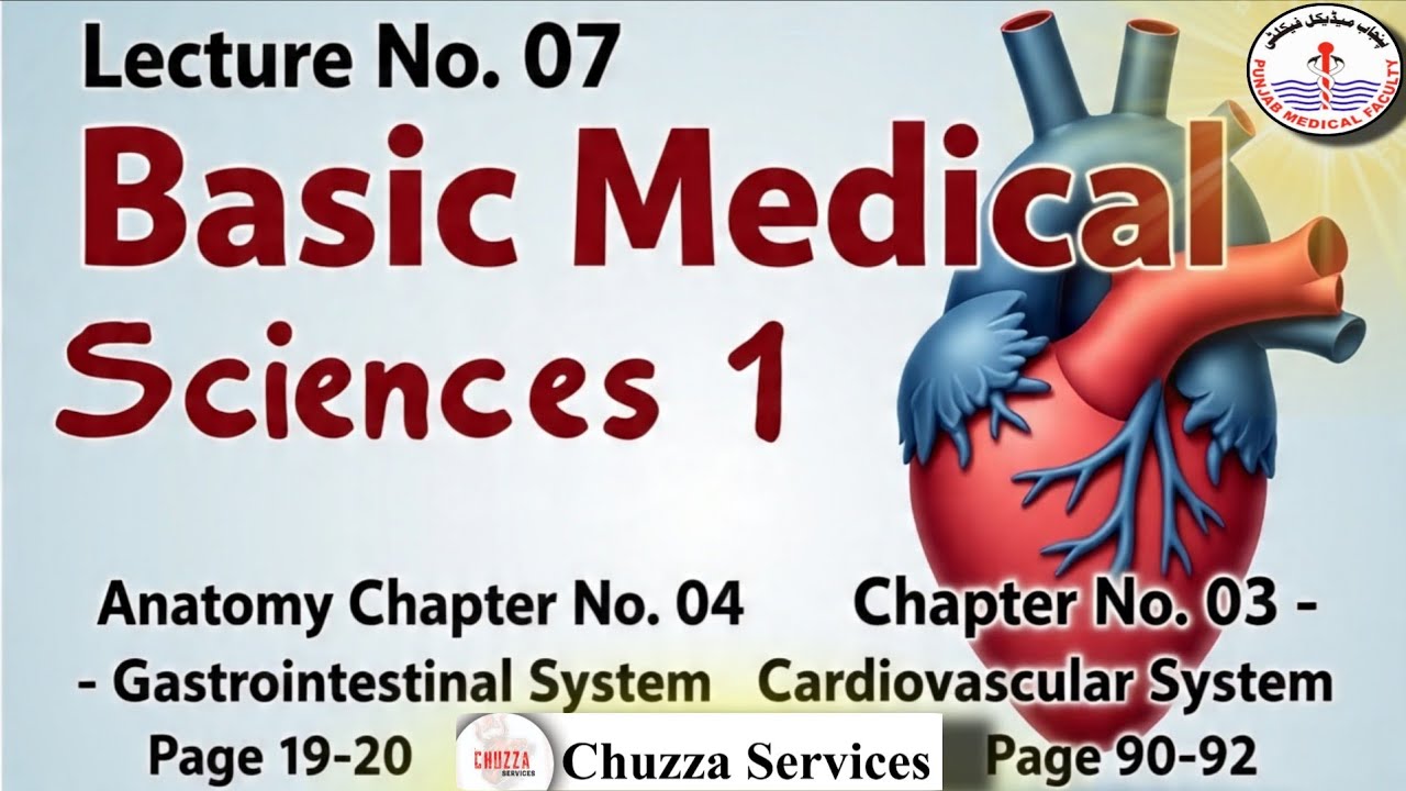 Lecture 07 | Basic Medical Sciences 1 | Gastrointestinal System + Cardiovascular System | Notes PDF