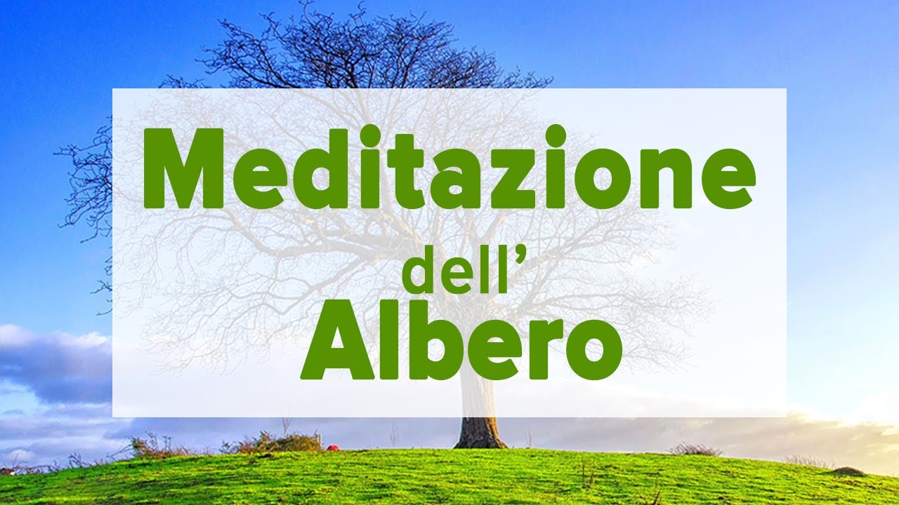 La meditazione dell'albero