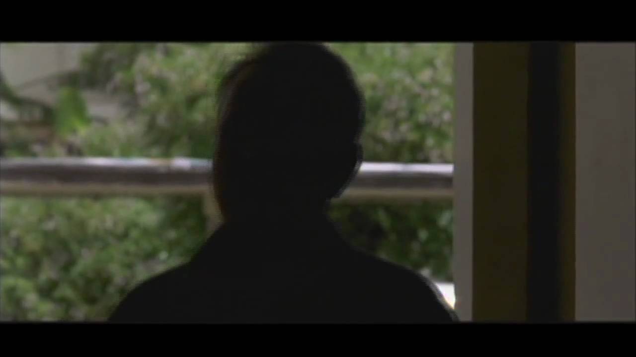 L'Intrus - video essay for Claire Denis symposium - Reverse Shot