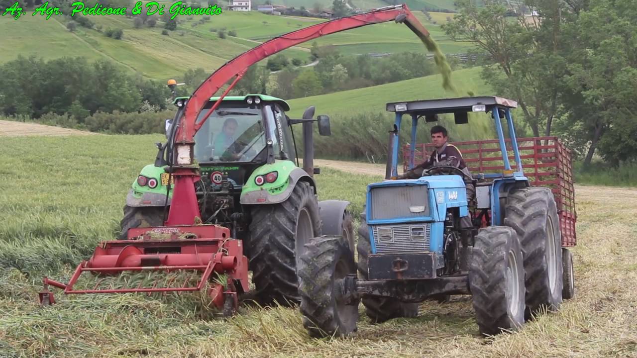 Trinciatura Triticale 2016 per Az. Agr. Rosati [Deutz Fahr 6190 + Feraboli 980]