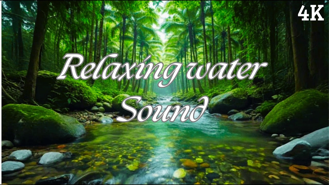 Soothing River Sounds 🌊 Peaceful Stream for Focus, Reading, and Work