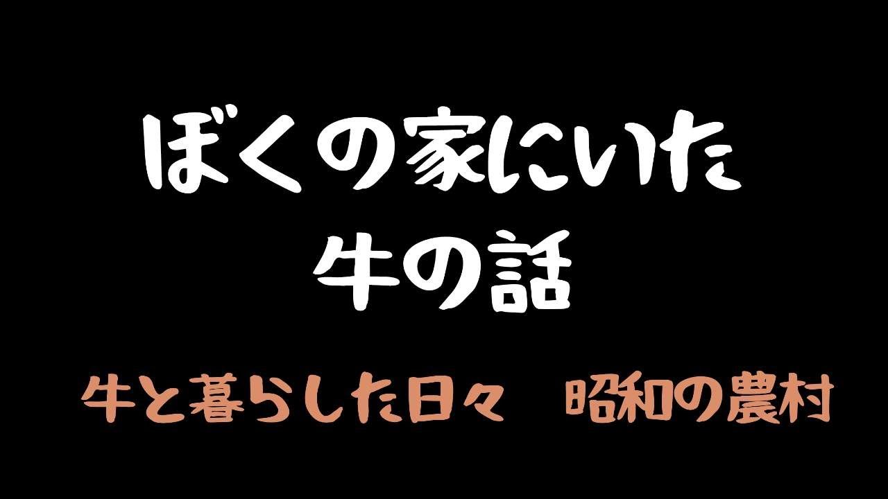ぼくの家にいた牛の話　#牛と暮らす　#昭和の農村　#和牛　#役牛　#牛糞　#牛糞堆肥　2025.9.21