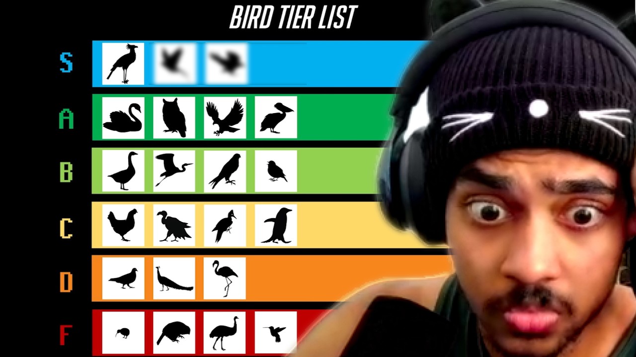 Reacting to Tier Zoo The Ultimate Bird Showdown 🐓