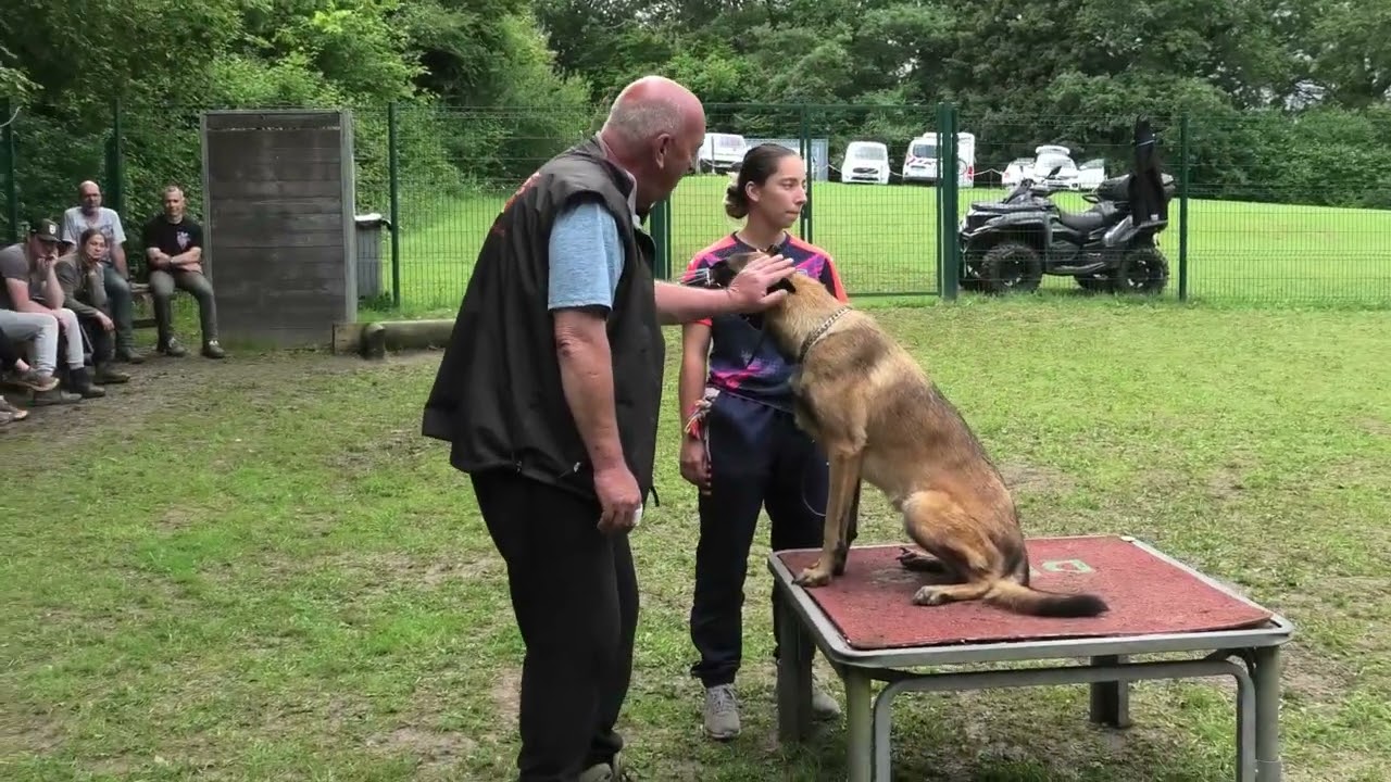 Centre Hervé Pupier - Formation Educateur canin
