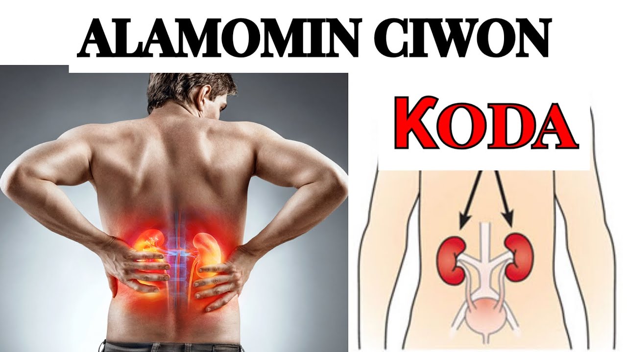 Wajibi ne kowa yasan wadannan alamomin