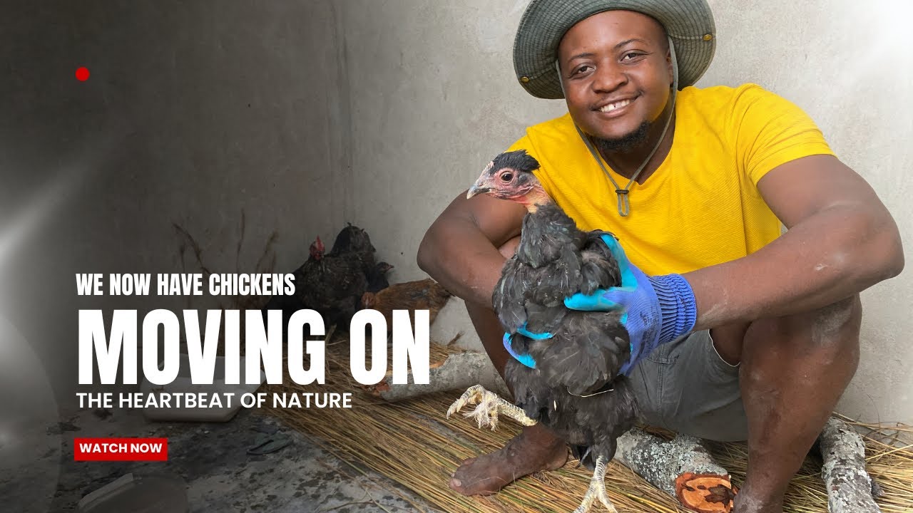 Moving on with our life Living in the village of Chiundura