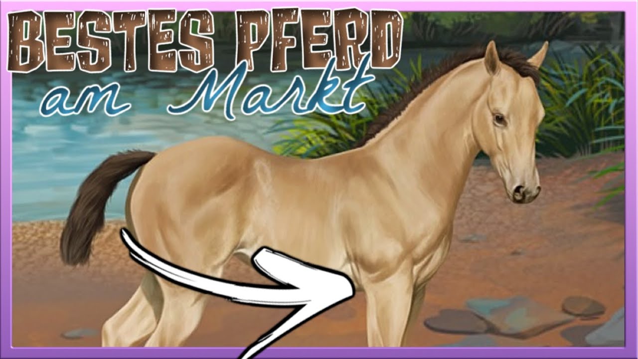 Wir KAUFEN das BESTE Quarter Horse am MARKT 🐴 Horse Reality #116