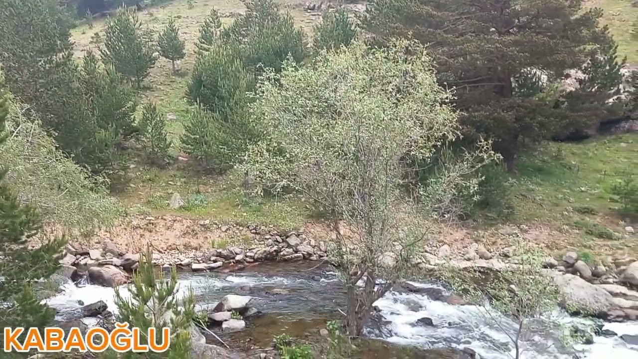 Sivas koyulhisar aksu köyü kabaoğlu mahallesi