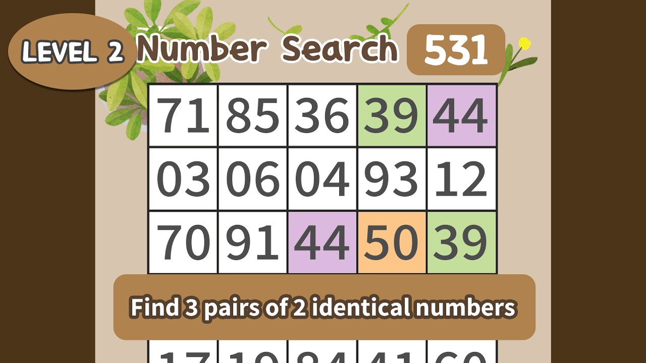 Number Matching Challenge. Brain Workout for 60+  2-531