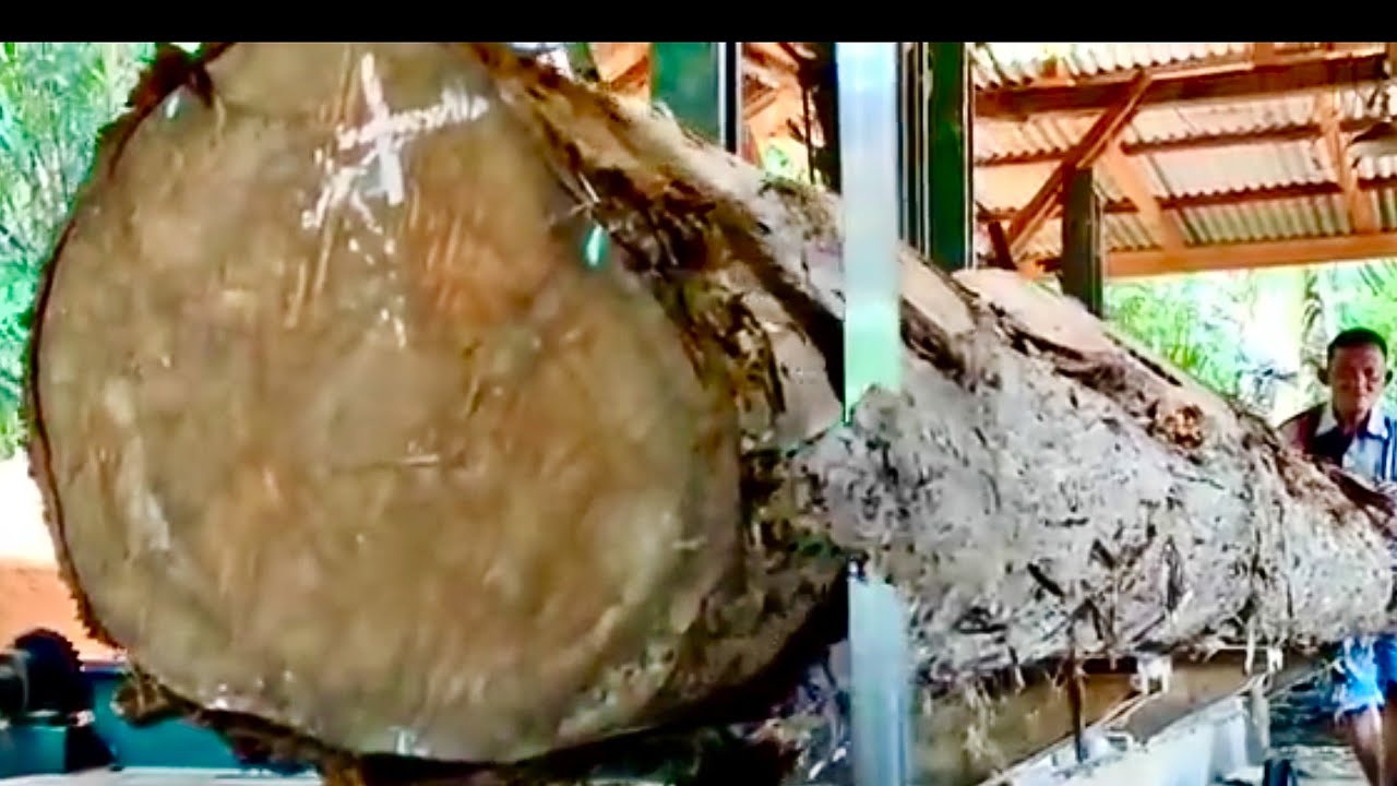 🌲Самая красивая и роскошная старая тиковая древесина на лесопилке🌲