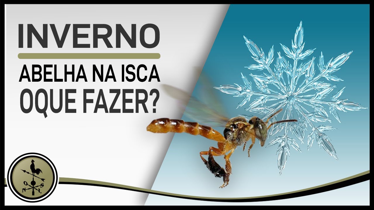 Jatai na ISCA aguenta o INVERNO?