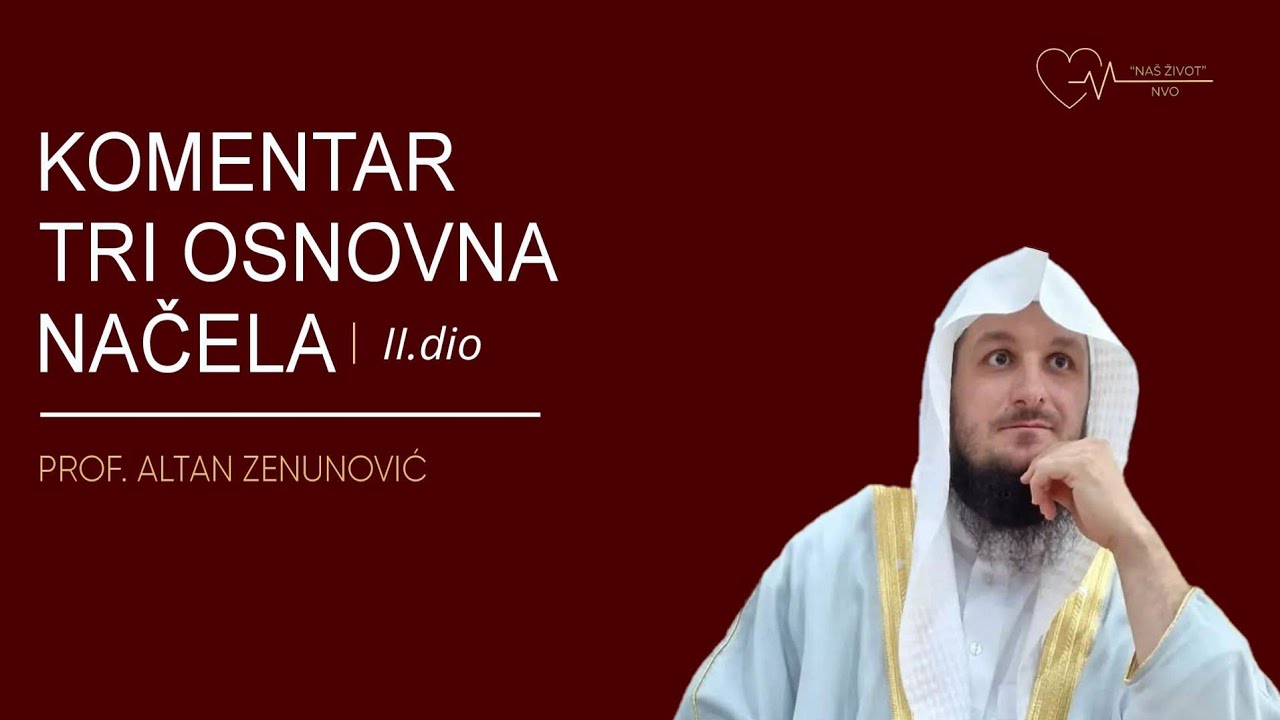 KOMENTAR TRI OSNOVNA NAČELA (Drugi dio) - Prof. Altan Zenunović