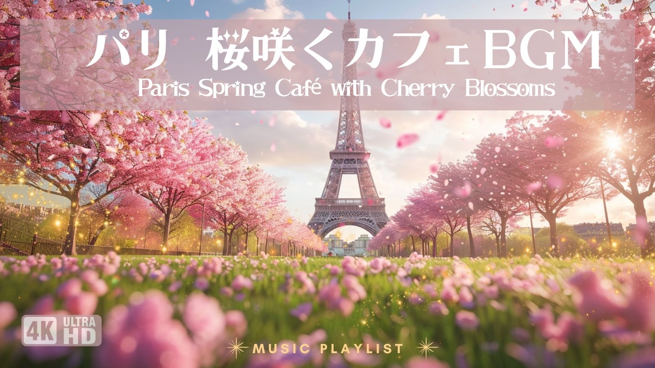 【春カフェBGM】🇫🇷桜咲くパリのやさしいカフェ時間｜Paris Spring Café with Cherry Blossoms