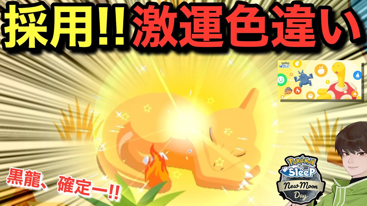 これは育成せざるを得なくない⁉︎ スキルウィーク3開幕！【ポケモンスリープ】【連発！スキルウィークvol.3】無課金リサーチ910/895日目