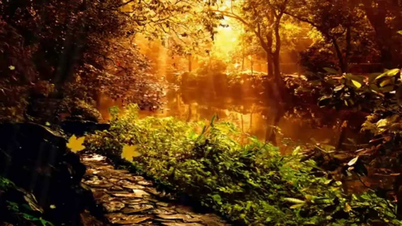 R. I. B. -  Autumn on a threshold ( Original mix )
