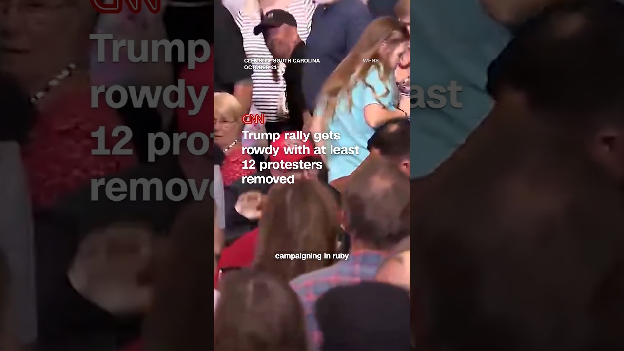 Trump rally gets rowdy with at least 12 protesters removed