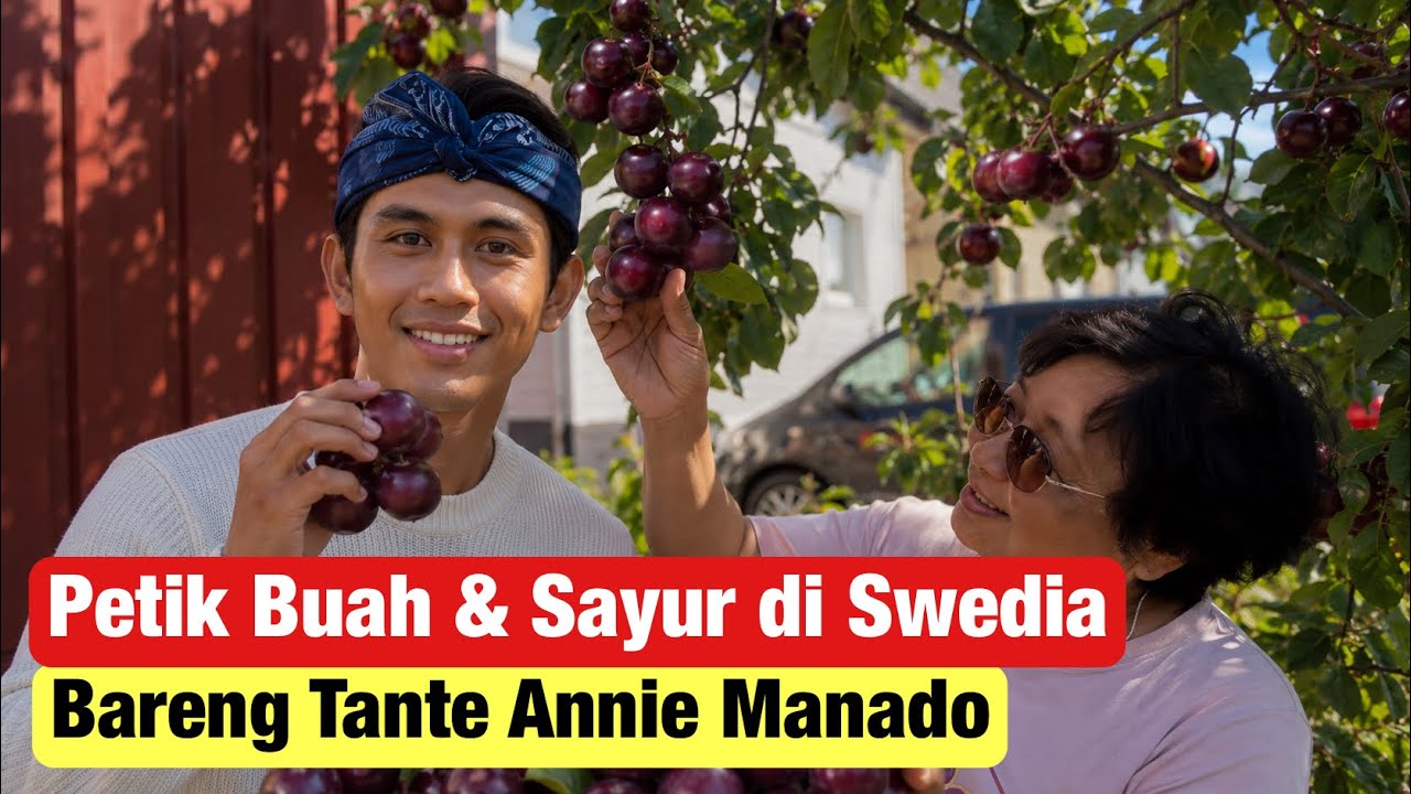 Petik Sayur dan Buah Bersama Tante Annie Asal Manado di Swedia