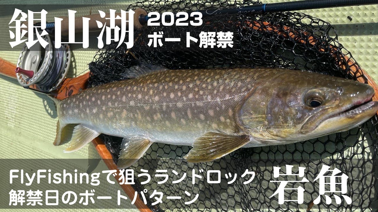 2023年【銀山湖ボート解禁！】ランドロックのイワナにフライフィッシングで挑む！解禁日のボートパターン【新潟FlyFishing】