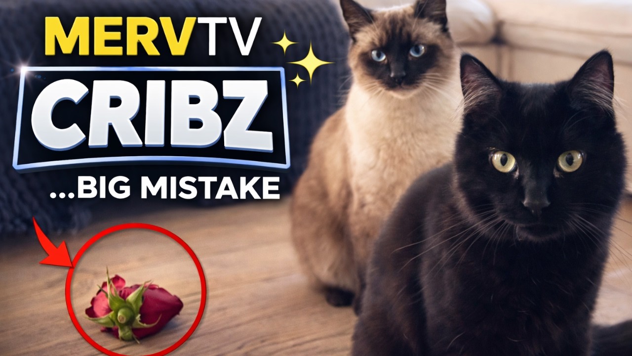 MTV Cribz: Merv & Ham Act Like Absolute Goblins