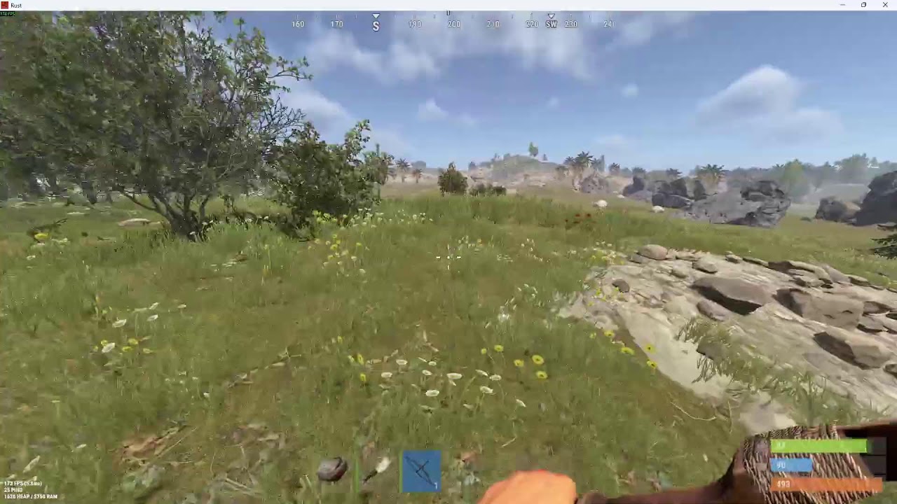 Rust Solo Official Fried
