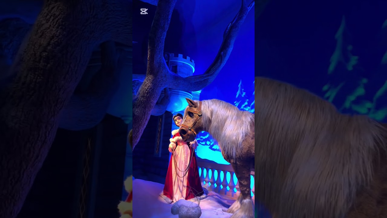 Disney trip (30/01/2026)