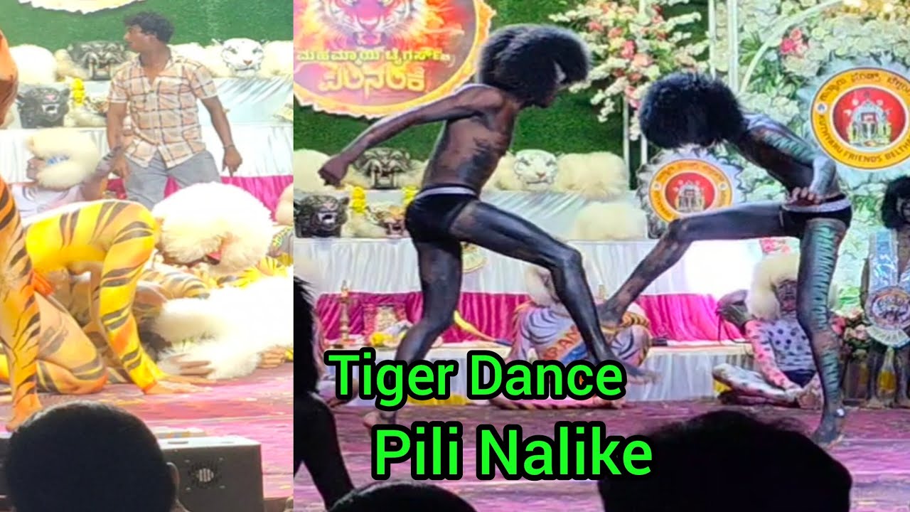 Tigerdance-Pili Nalike / 2026 Super hit dance grup/Belthangady(Karnataka)
