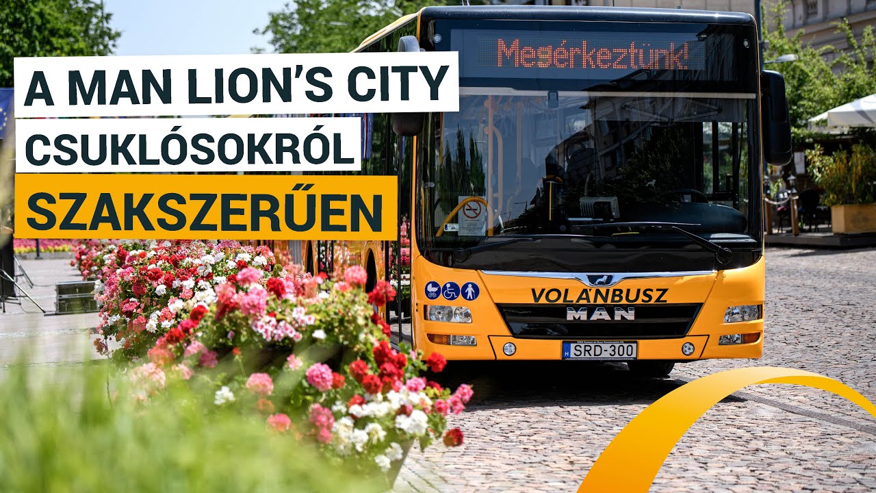 MAN Lion's City csuklósokkal erősödünk 🚍💪