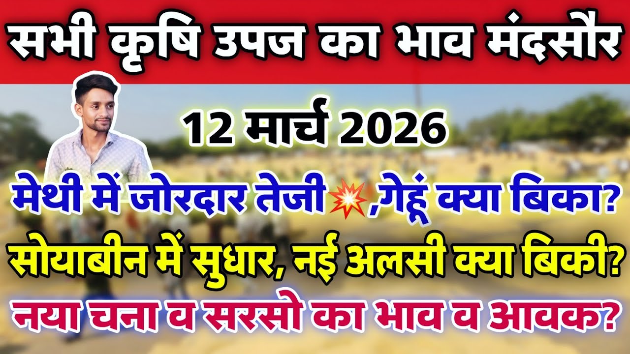 सभी कृषि उपज का भाव मंदसौर मंडी 12 मार्च 2026 | Mandsaur Mandi ka bhav #mandsaur_mandi_bhav