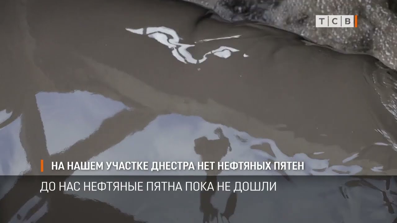 На нашем участке Днестра нет нефтяных пятен