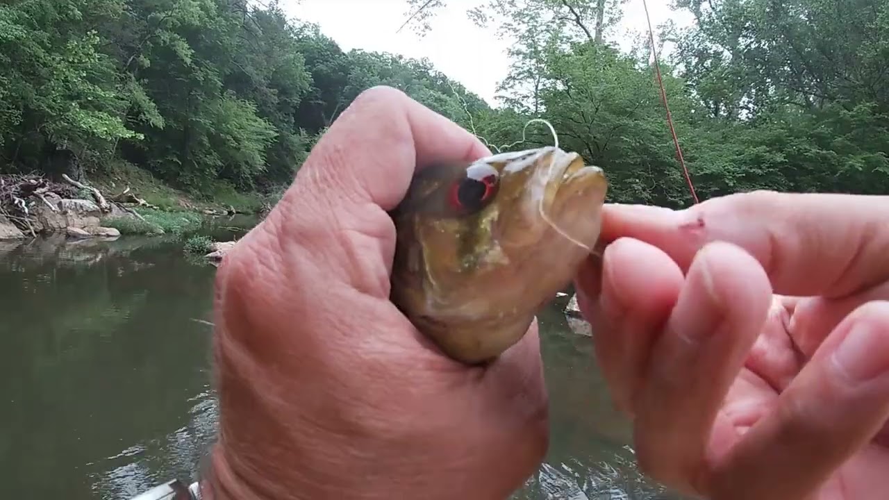 Fly Fishing Eno River State Park: Fiberglass Rod & Silk Line. Roanoke Bass, Largemouth, and Sunfish