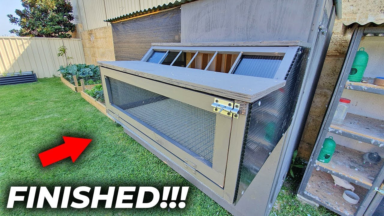 Pigeon Sputnik Trap Finished!!!