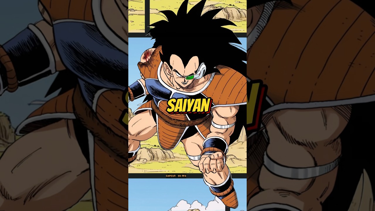 Realmente Raditz es un Saiyan de clase baja? 🤔