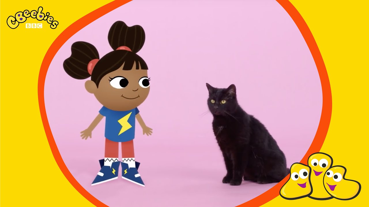 Aprende con Yakka Dee: Gato