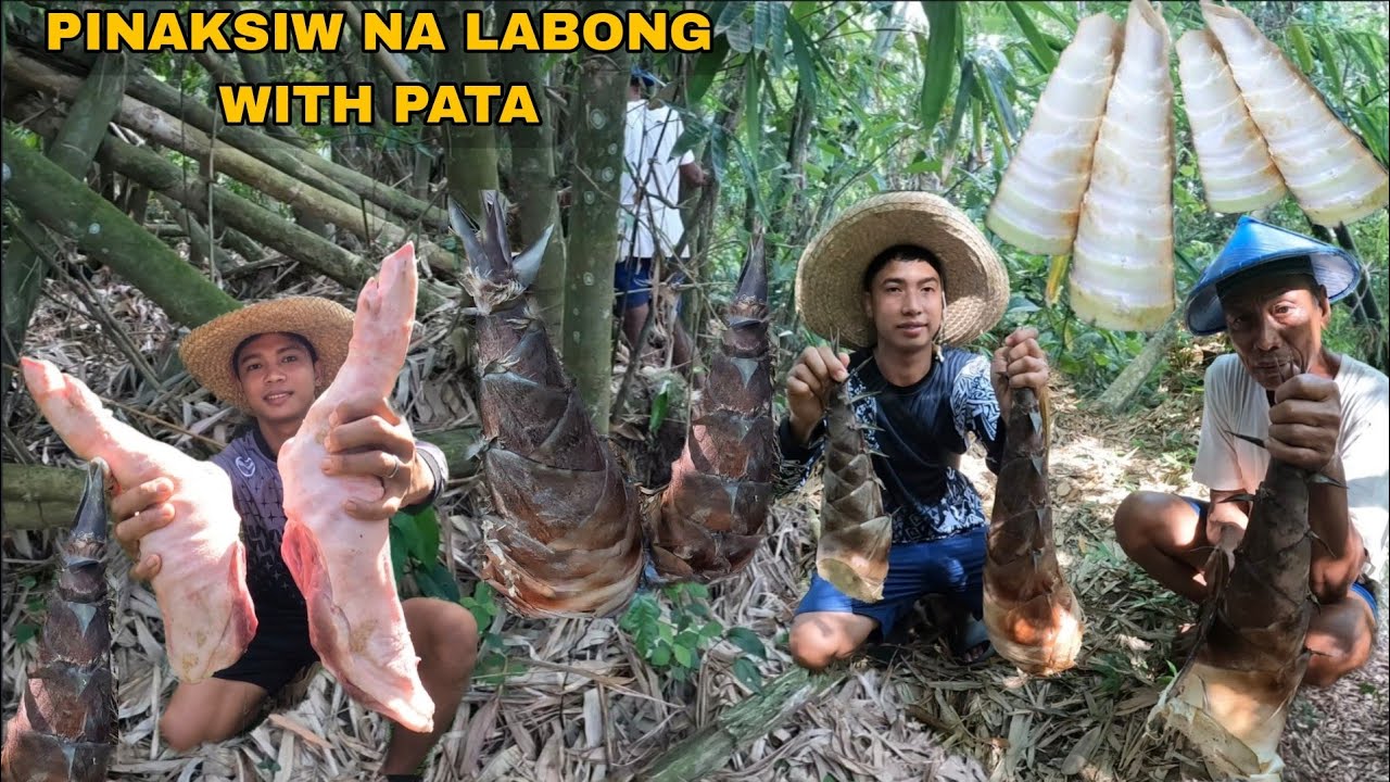PAKSIW NA PATA NG BABOY. PANGUNGUHA NG LABONG SA GUBAT