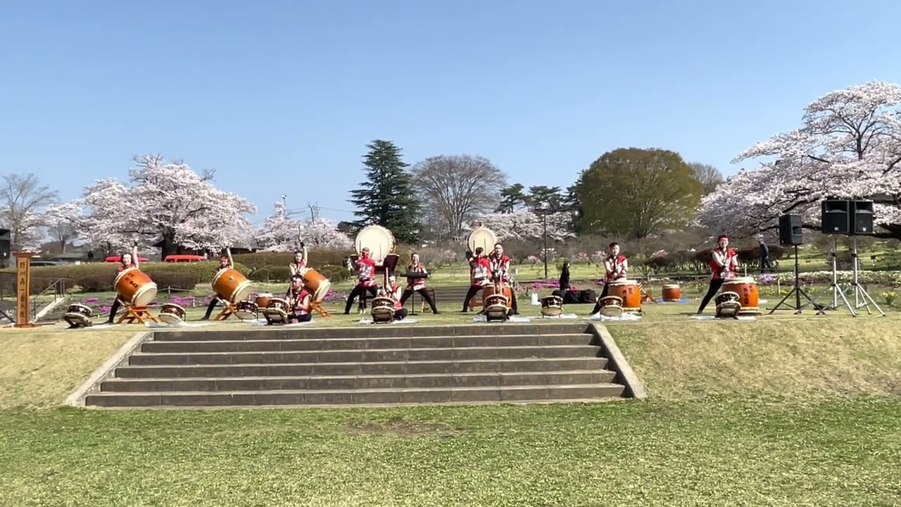 野州轟一番太鼓🌸長峰さくらまつり🌸