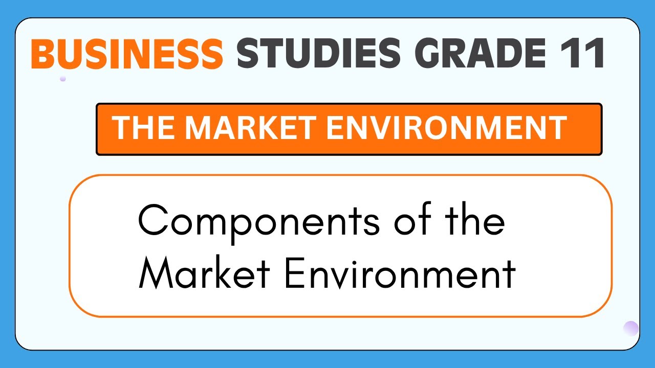 Business Studies Grade 11 | Components of the Market Environment