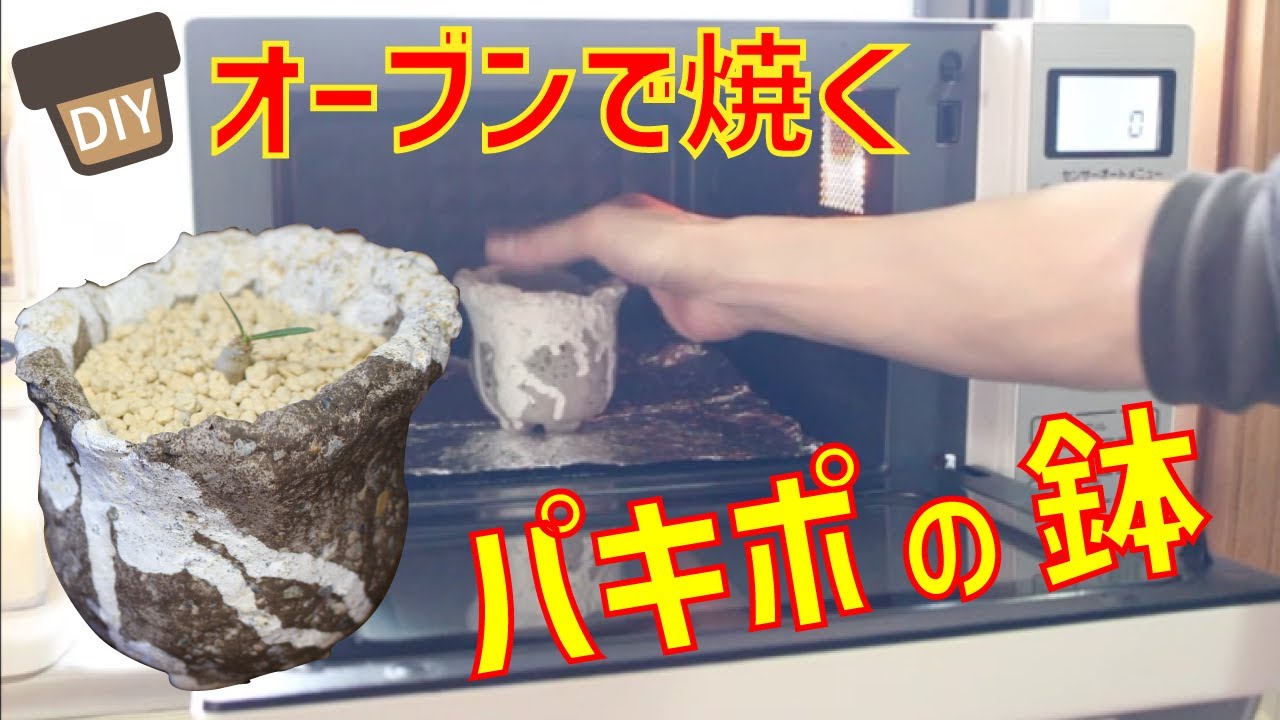オーブンで植木鉢を焼く！【塊根植物】【観葉植物】【多肉植物】【オーブン陶土】