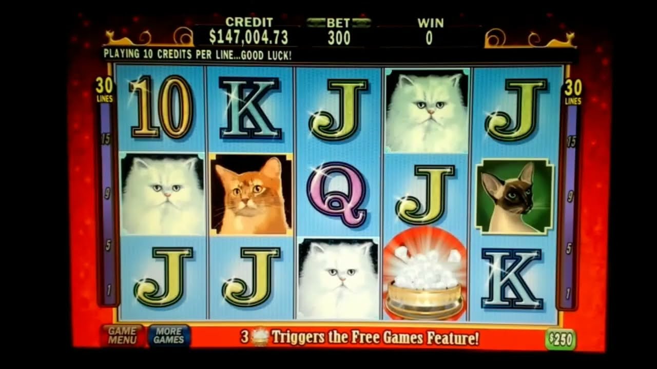 Kitty Glitter Max High Limit Slot Play