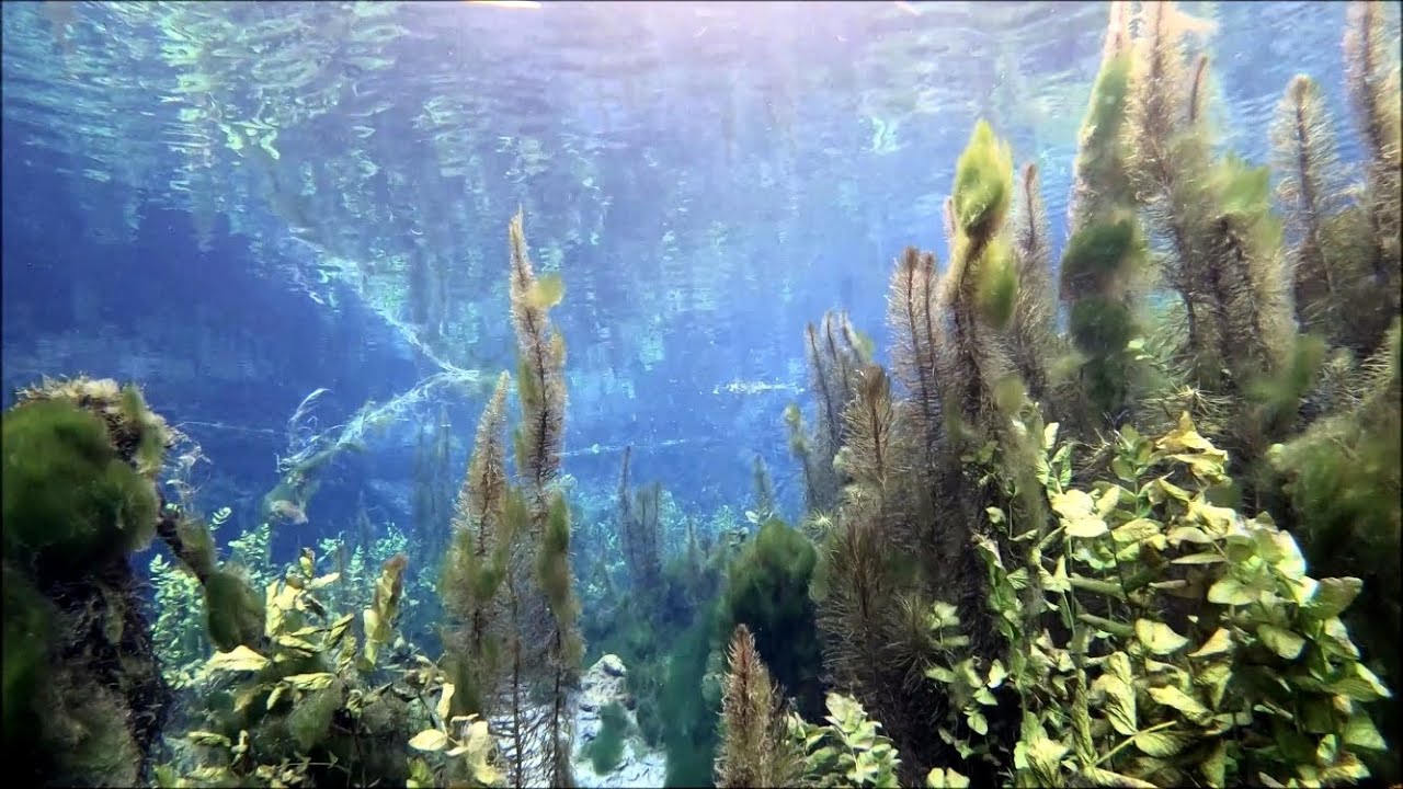 Tauchen zur Brenzhöhle
