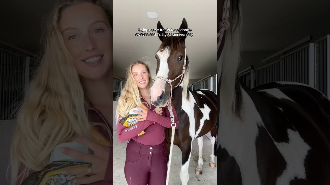 TASTE TEST HORSE TREATS WITH US #horse #equestrian #equestrianlifestyle #equestrianlife #horses