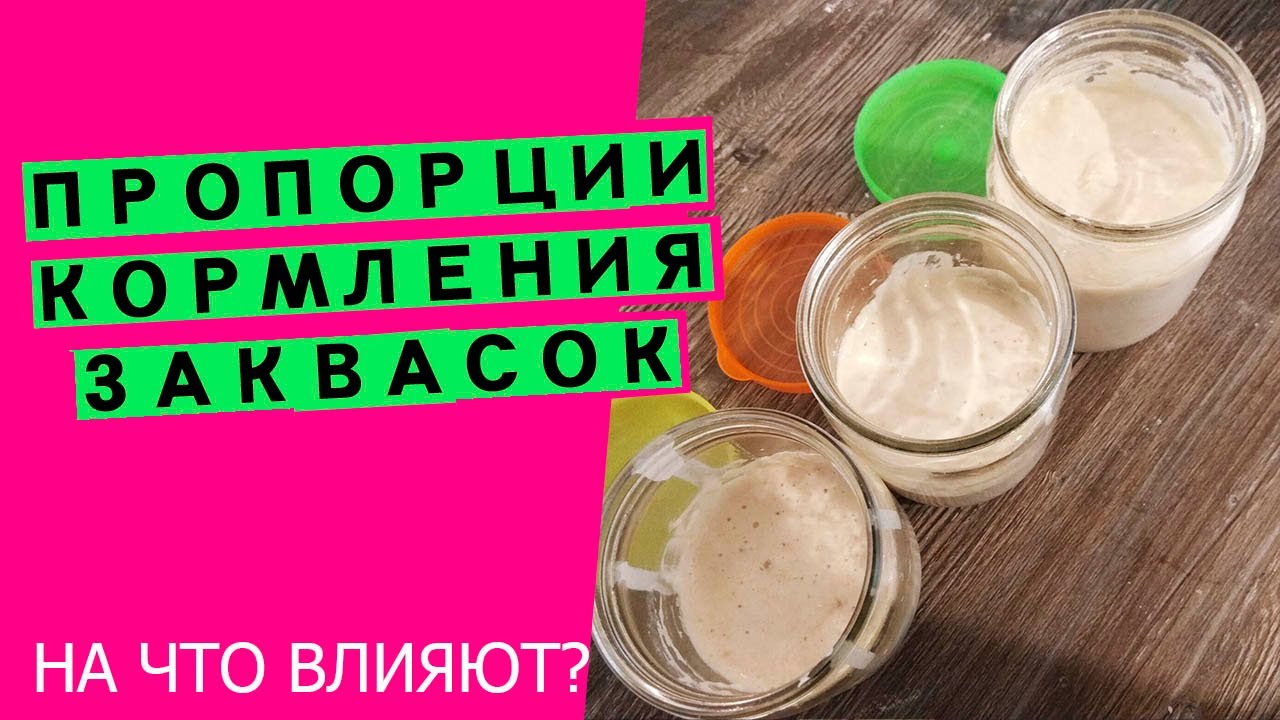 Пропорции кормления пшеничных заквасок: на что влияют, как рассчитать {КАК УПРАВЛЯТЬ ЗАКВАСКАМИ?}