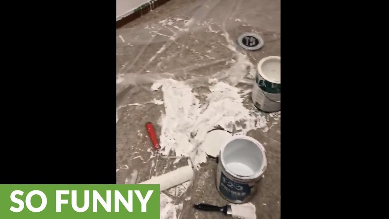 3-year-old gets into paint can, makes gigantic mess