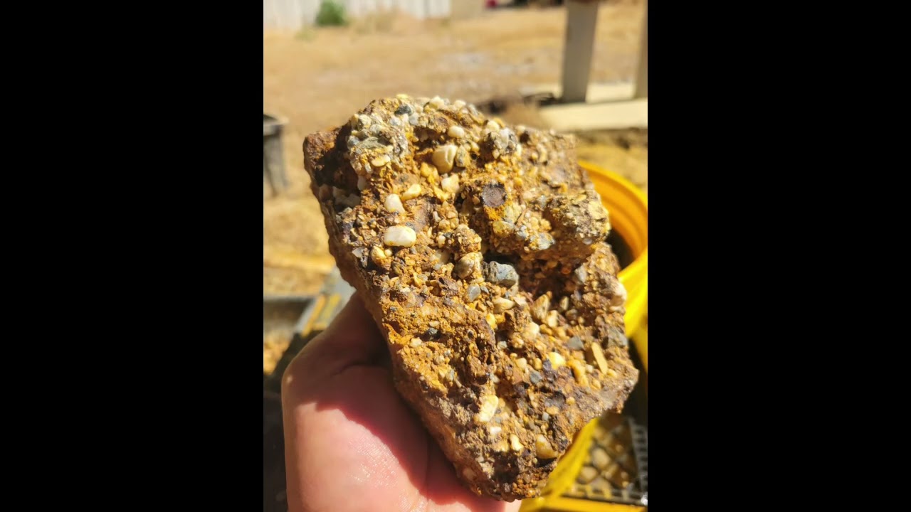Exploring Gold Country #miner #gold #goldcountry #goldprospecting @GoldmonsterT