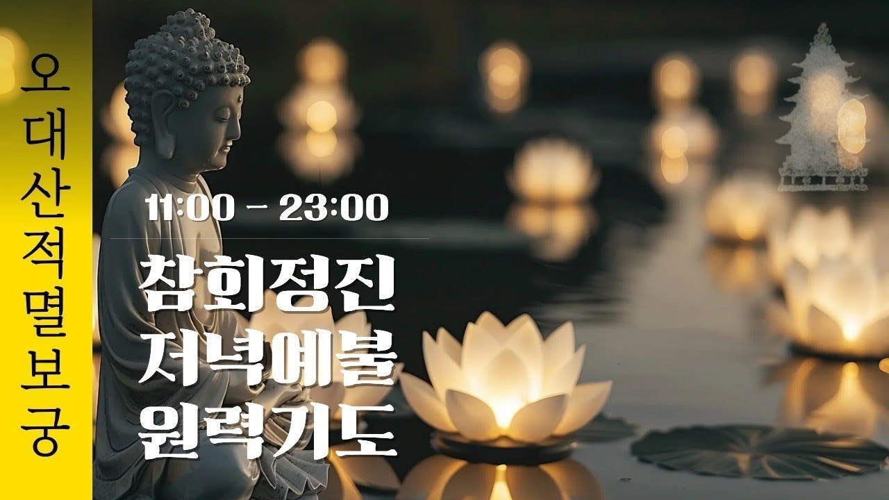 오대산 중대 적멸보궁tv 실시간 기도
