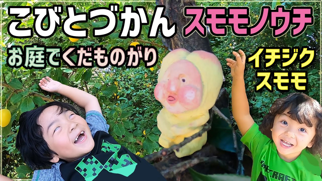 【こびとづかん】庭でくだもの取りしてたらスモモノウチがいた!!!