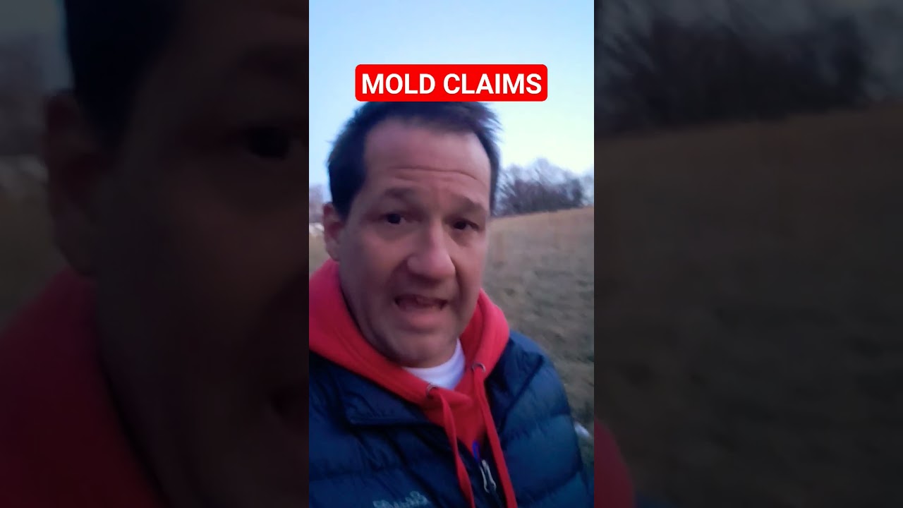 Does home insurance cover mold? #publicadjuster #homeinsurance