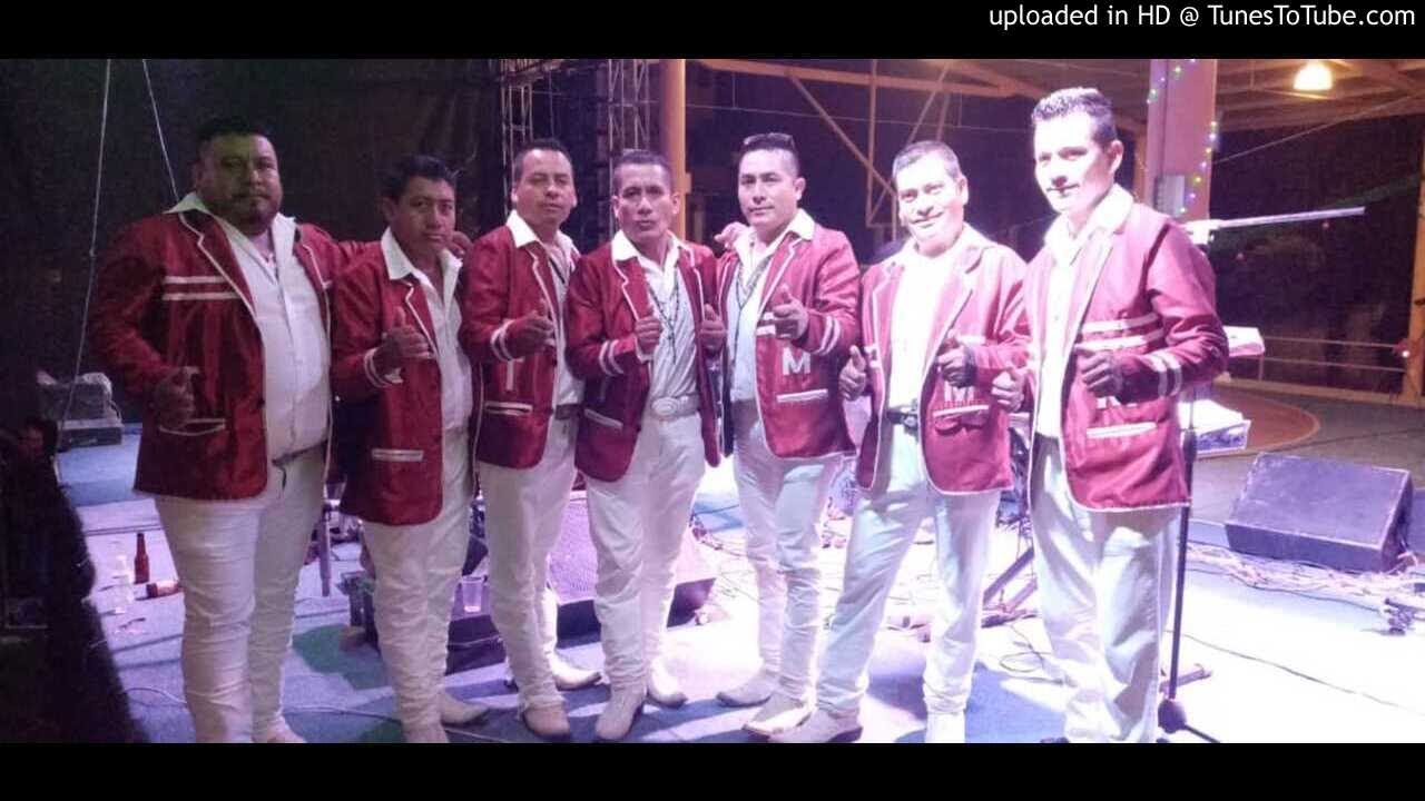 Torbellino Musical-EXITO NUEVO 2019