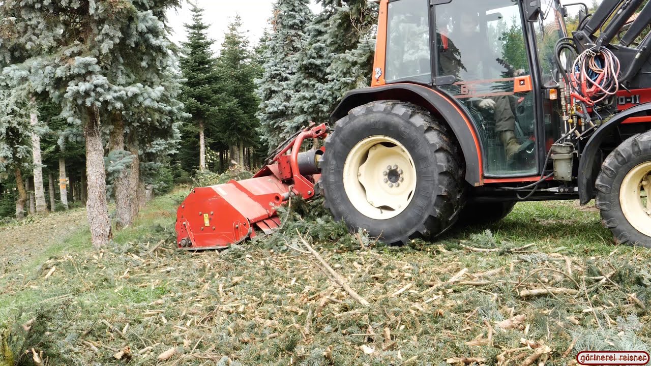 Reisig-Abfall häckseln in den Landseeer Bergen